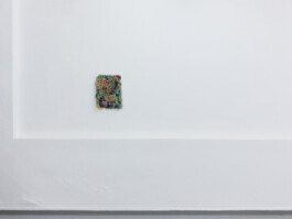 Bettina Willnauer