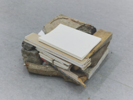 Bettina Willnauer